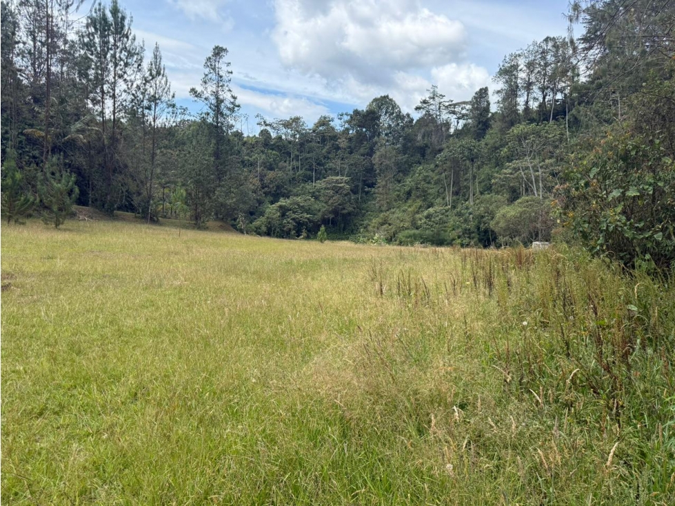 Venta Lote - Fizebad