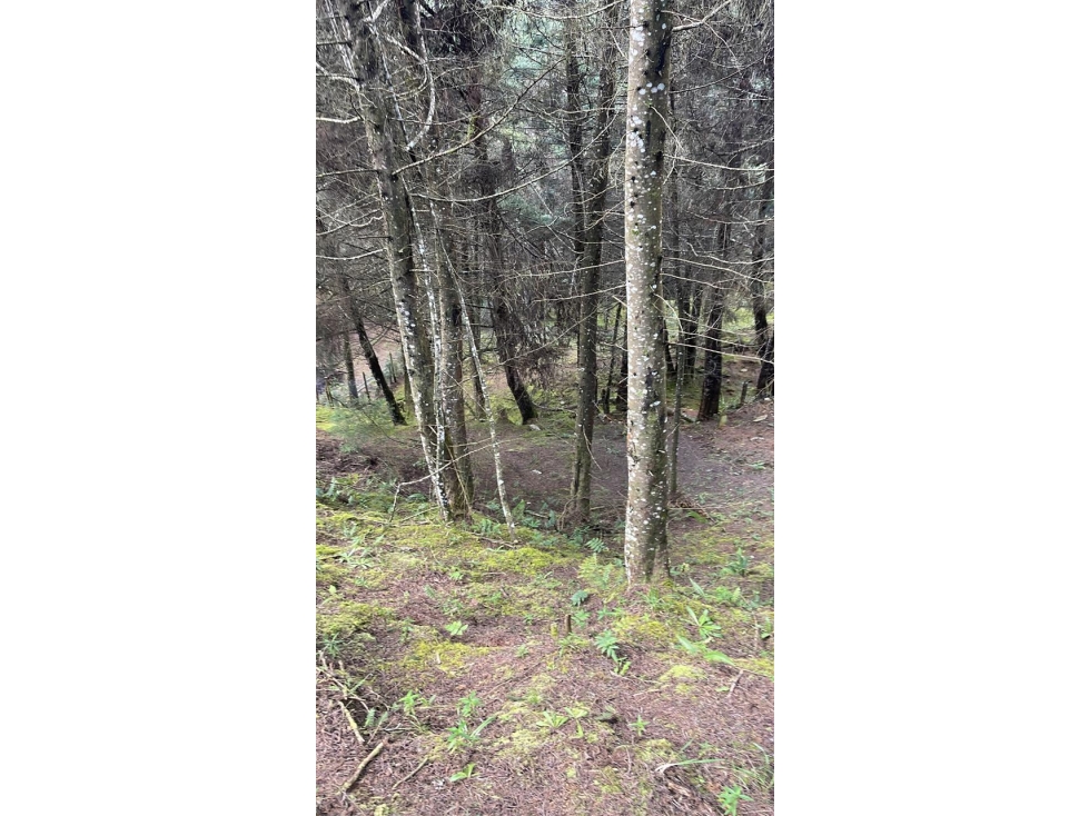 Venta Lote en Unidad Cerrada Campestre - Zona Rural — foto 2