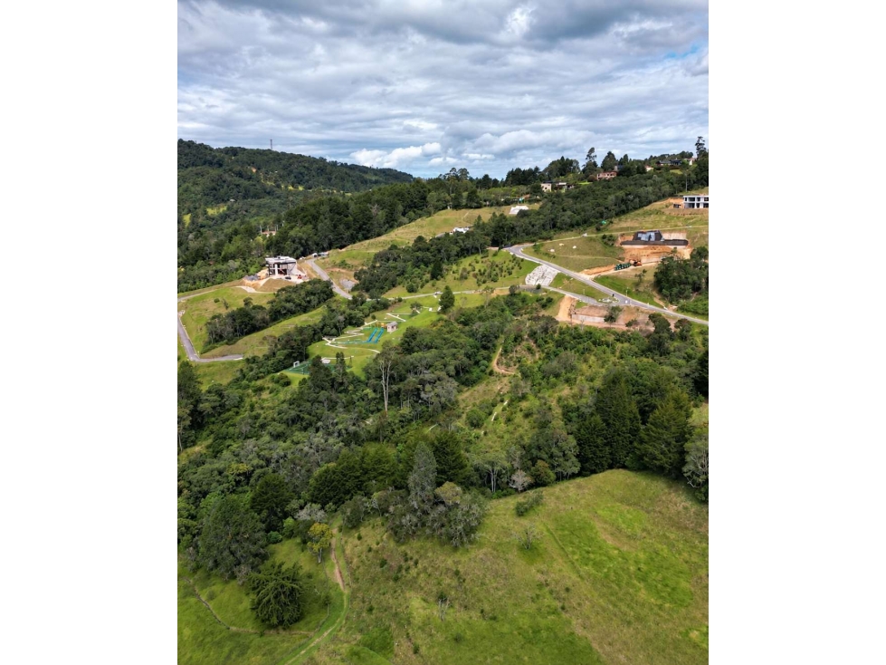 Venta Lote con Bosque Nativo, Alto de Las Palmas