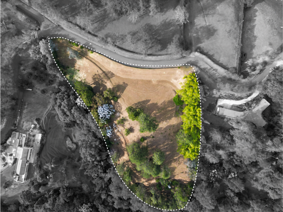 Venta Lote, Llanogrande, Antioquia 12.000 m2