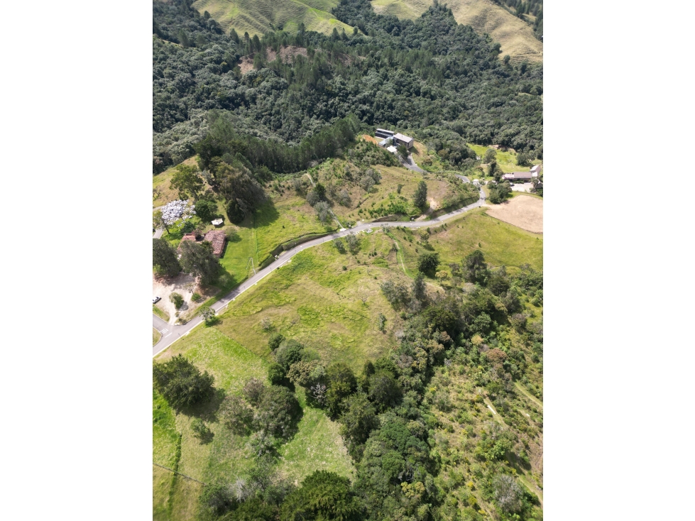 Venta Lote - Alto de Palmas