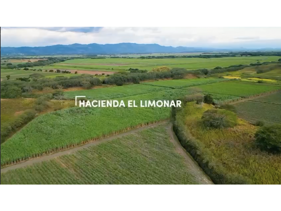 Venta o Renta Finca Agrícola, Cartago, Valle - 1