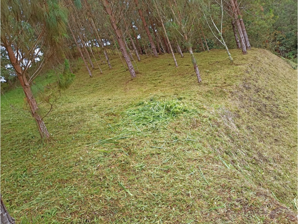 Vendo Lote en parcelación en El Retiro, Antioquia — foto 3
