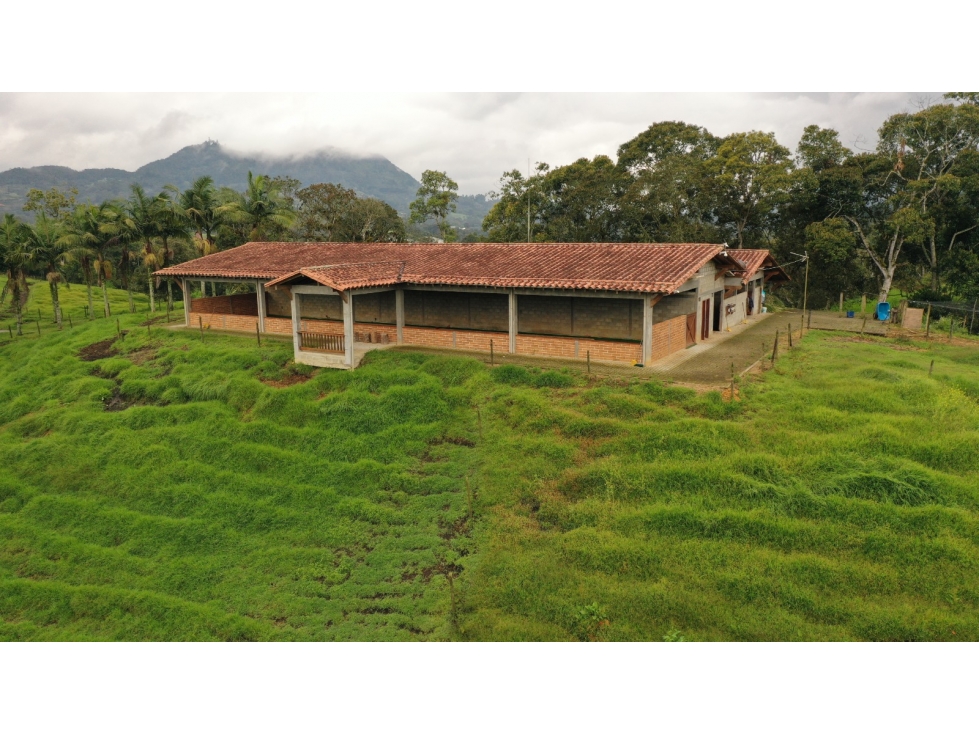 Venta Finca Ecuestre, Llanogrande, Antioquia — foto 4