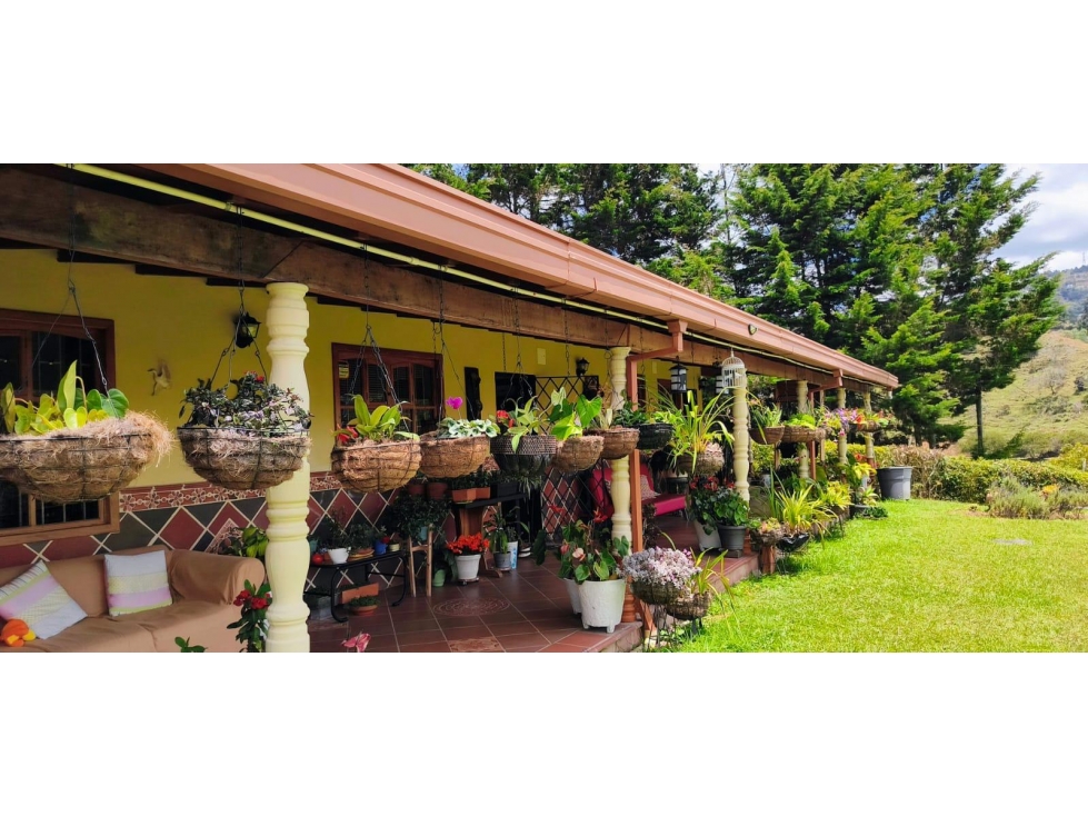 Venta Finca, Guarne - 6.962 m2 con 2 Casas — foto 3