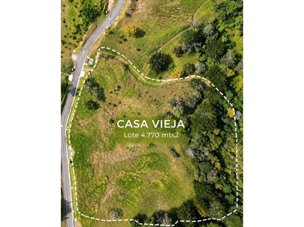 Venta Lote con Bosque Nativo, Alto de Las Palmas — foto 4