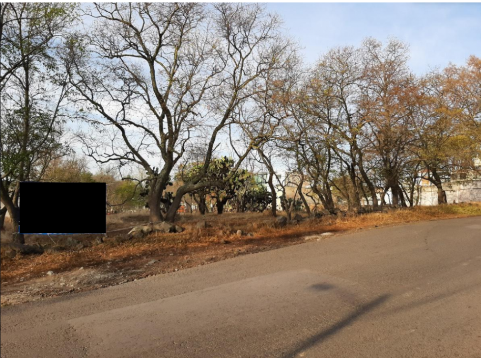 Terreno en Av. Vicente Guerrero, La Merced, Jilotepec, Edo. de Mex. - 4