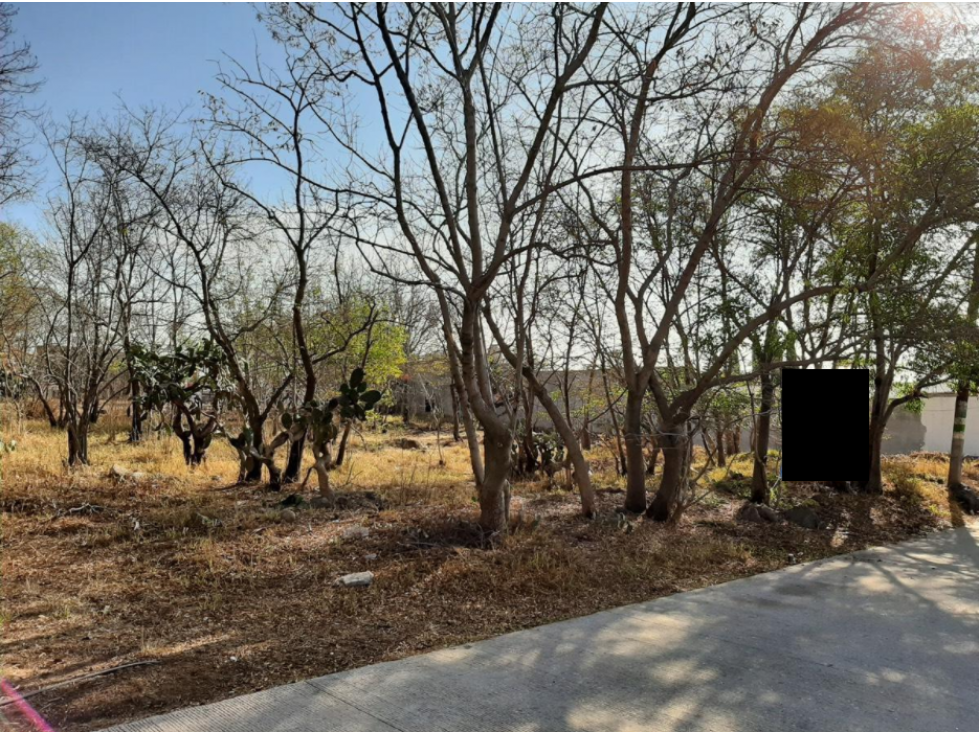 Terreno en Av. Vicente Guerrero, La Merced, Jilotepec, Edo. de Mex. - 5