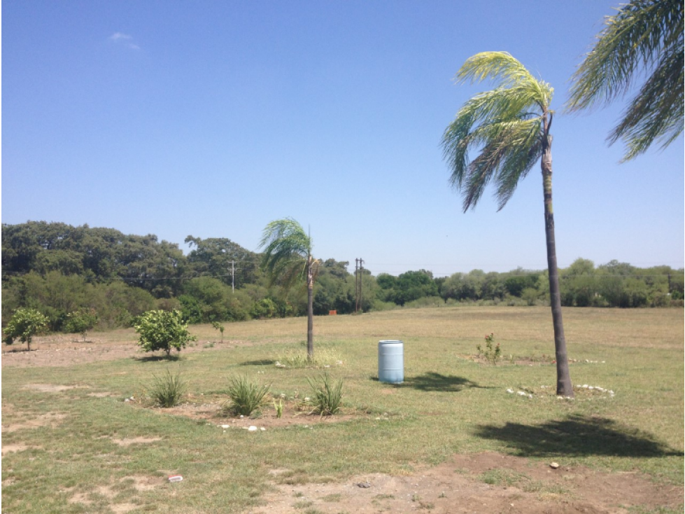 Se Vende Finca en Linares, Nuevo León, Mexico - 2