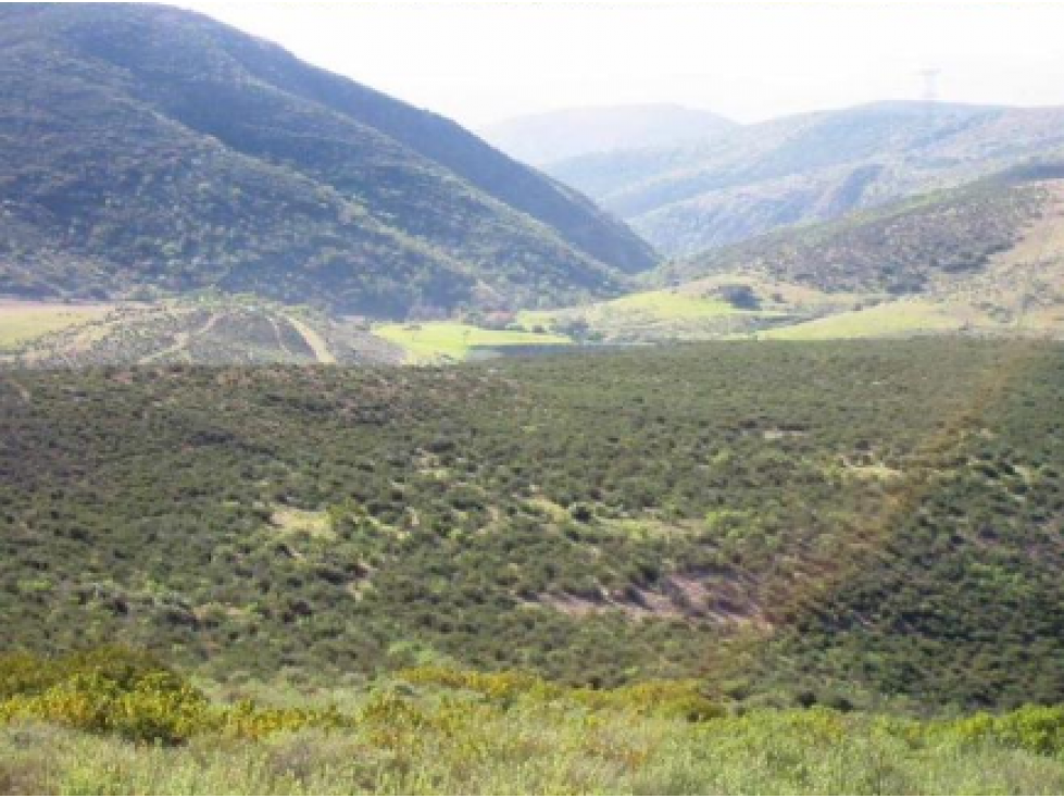 Terreno en Ruta del Vino, Baja California — foto 3