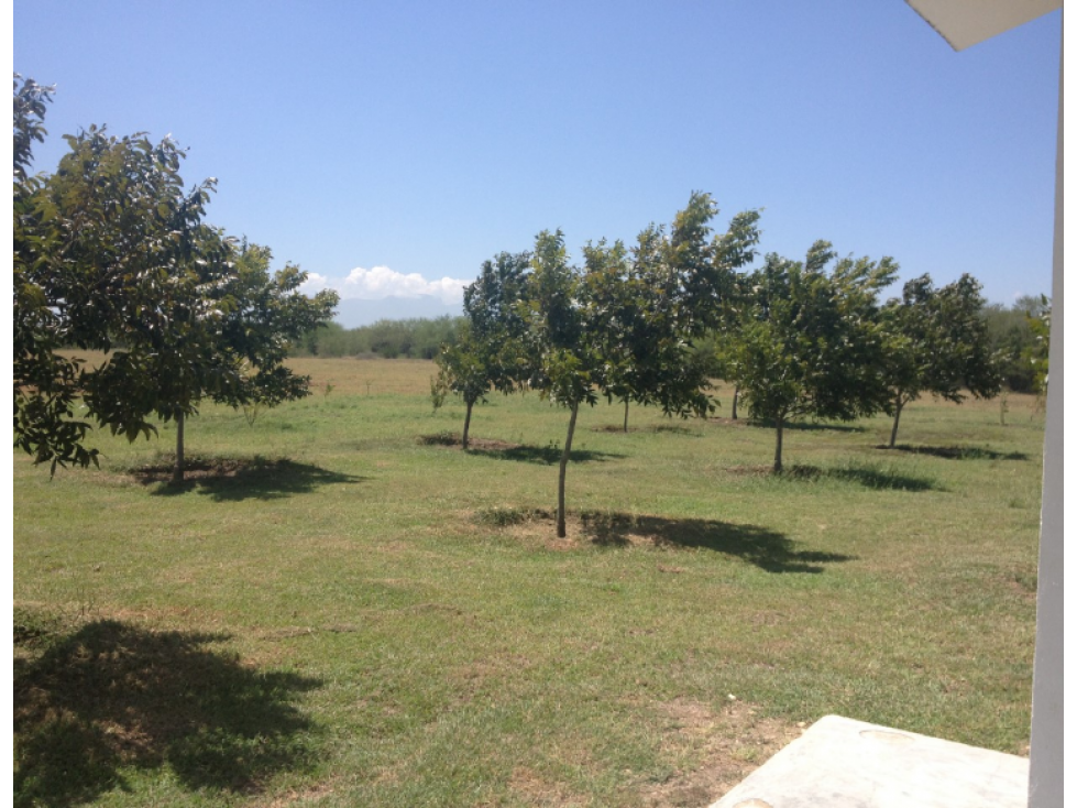 Se Vende Finca en Linares, Nuevo León, Mexico - 4