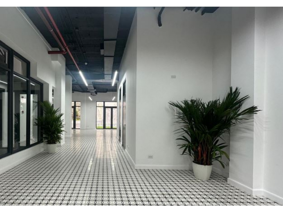 SE VENDEN LOCALES EN PLAZUELA ALFARO, CASCO ANTIGUO — foto 2