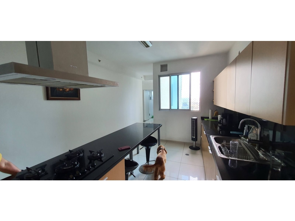 VENTA Y ALQUILER DE APARTAMENTO EN PH ALTAMAR, COSTA DEL ESTE — foto 5