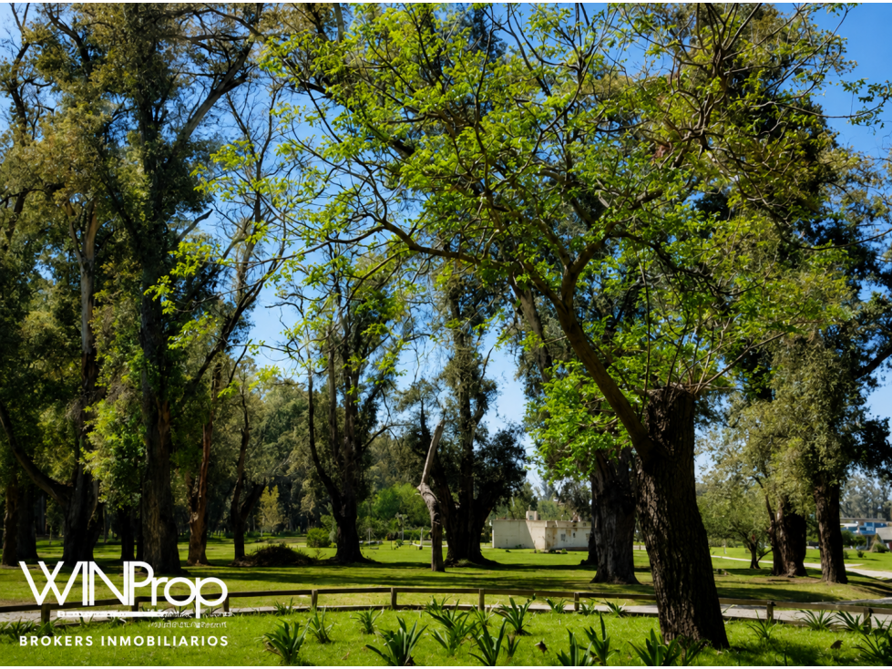 lote santa ines comarcas de lujan laguna — foto 5