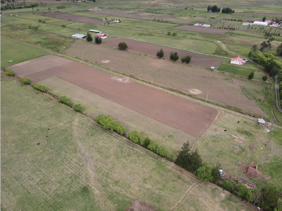 VENDO TERRENO 13,500 M2 PAMPA DE ANTA CUSCO PERU - 6
