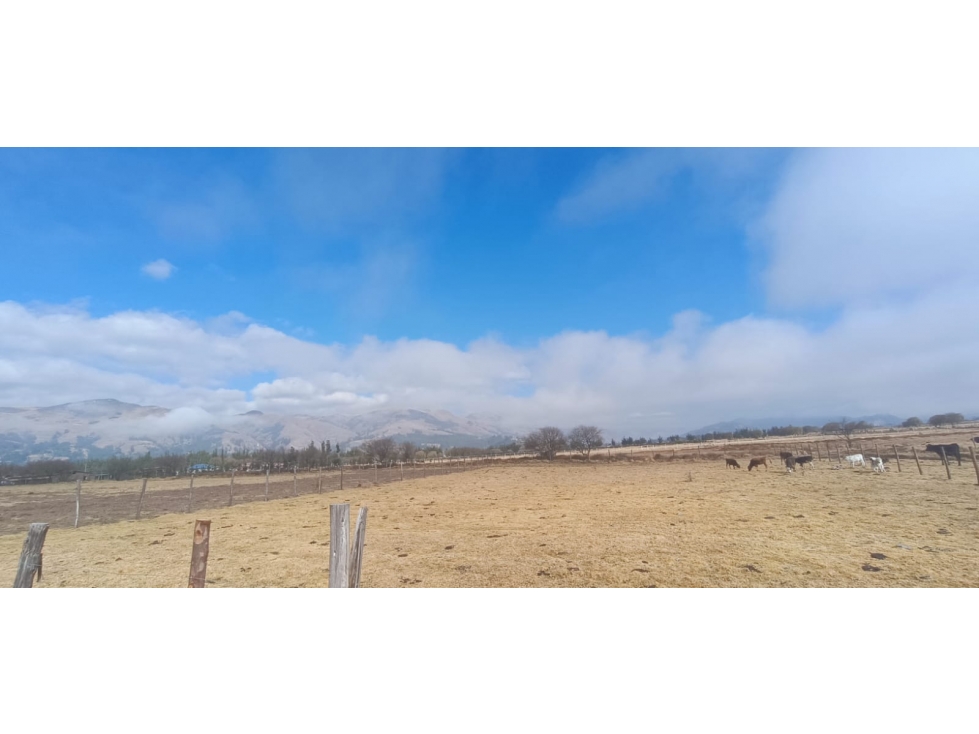 VENDO TERRENO 13,500 M2 PAMPA DE ANTA CUSCO PERU - 3