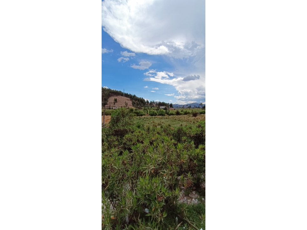 VENDO TERRENO 17,480 M2 ANCAHUASI ANTA CUSCO - 2