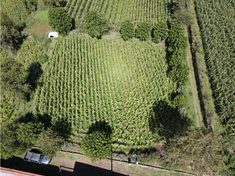 VENDO TERRENO 1000 O 500 M2 EN YARCAPATA PICOLL SAN JERONIMO CUSCO