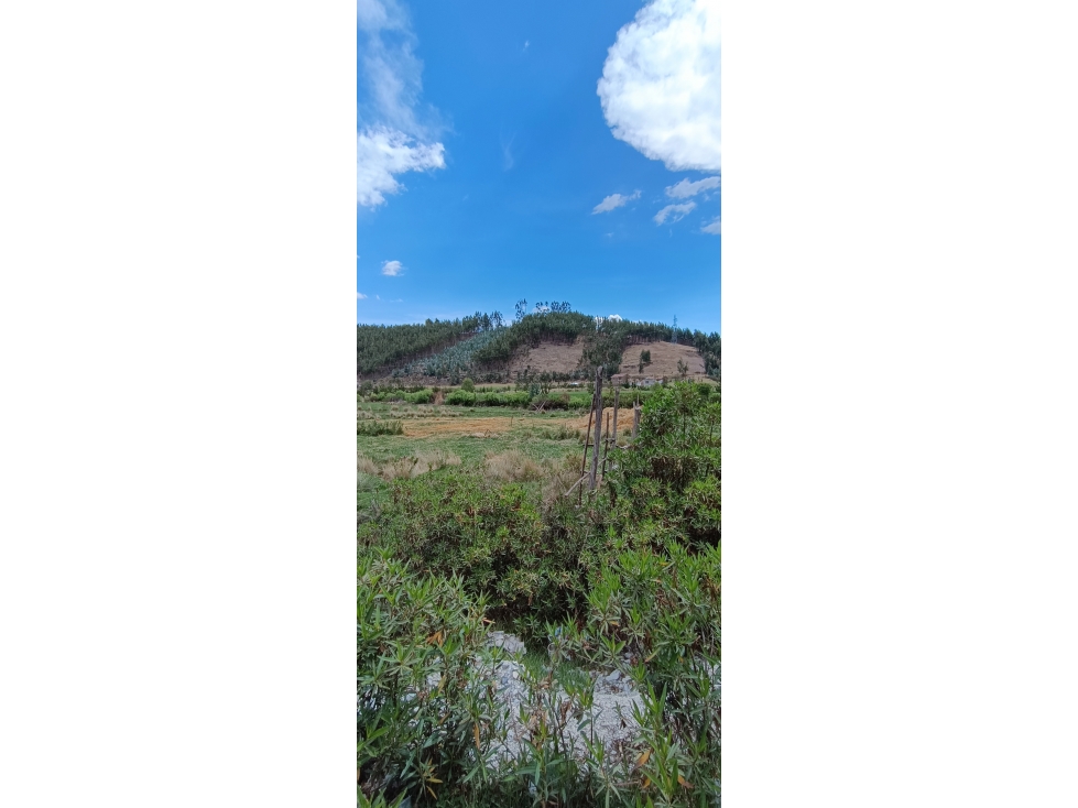 VENDO TERRENO 17,480 M2 ANCAHUASI ANTA CUSCO - 4