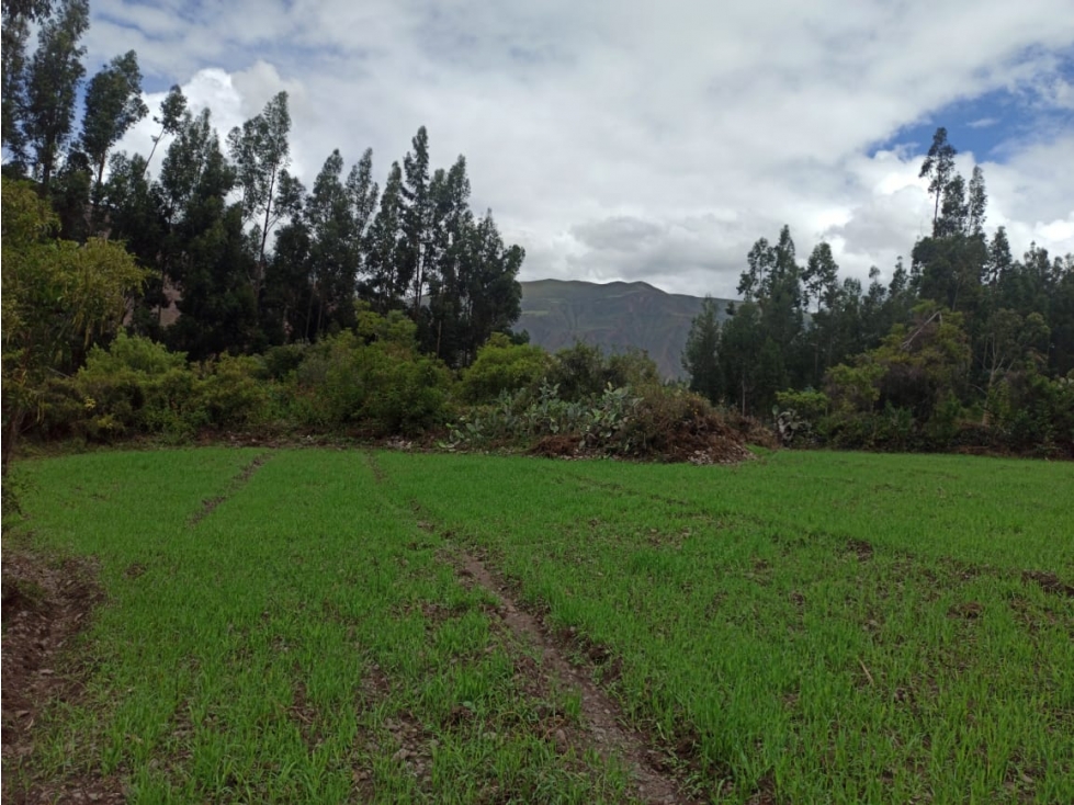 VENDO TERRENO 4980 M2 VALLE SAGRADO YANAHUARA URUBAMBA CUSCO PERU - 3