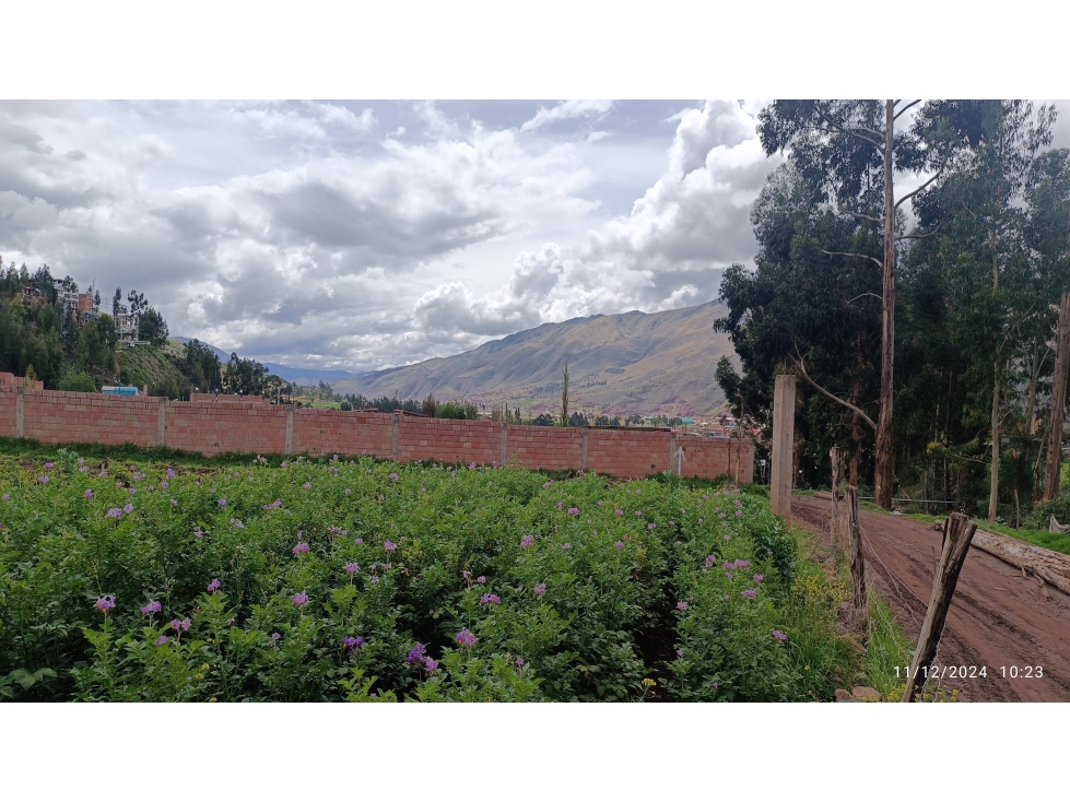 VENDO TERRENO 650 M2 HUASAO CUSCO PERÚ - 3