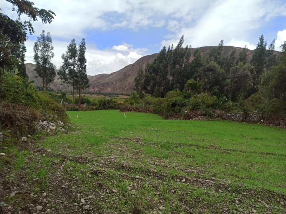 VENDO TERRENO 4980 M2 VALLE SAGRADO YANAHUARA URUBAMBA CUSCO PERU - 6