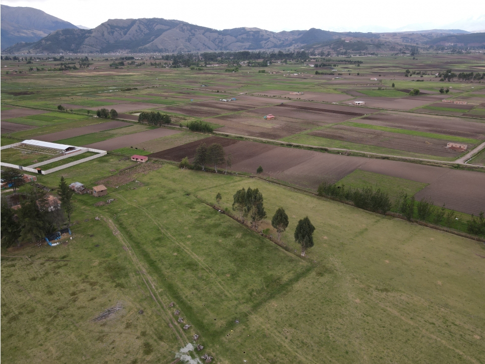 VENDO TERRENO 10,000 M2 PAMPA DE ANTA CUSCO PERU - 4