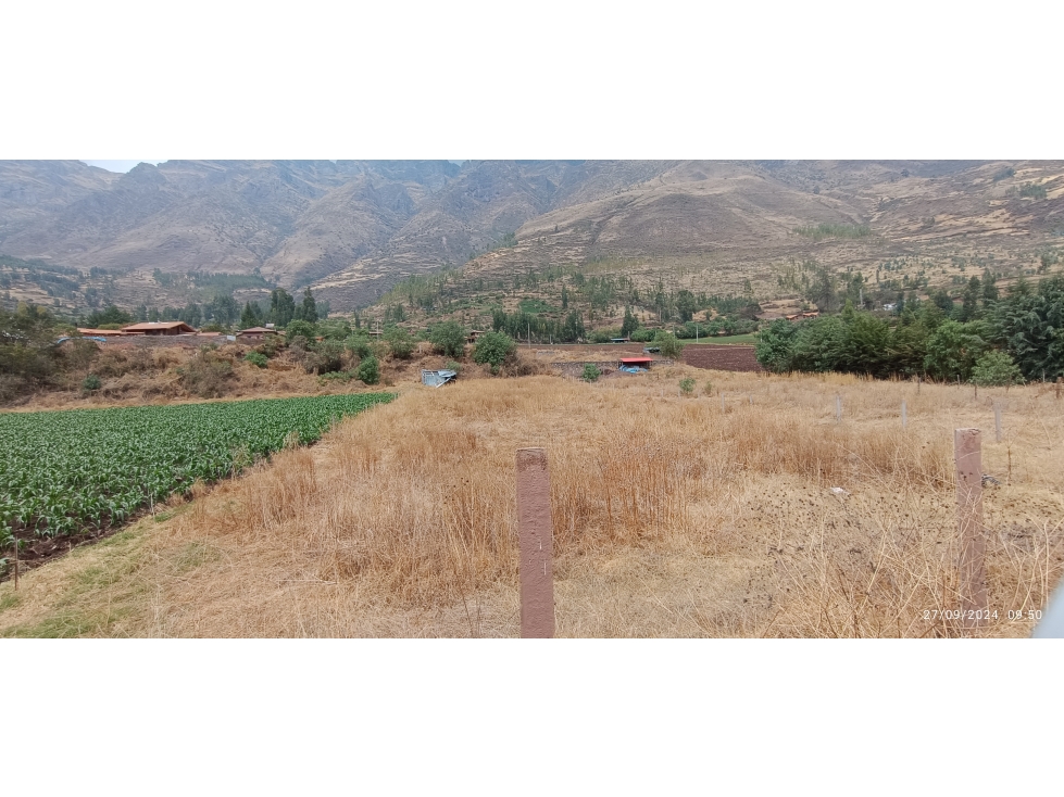 VENDO TERRENO 2048 M2 A PIE DE PISTA PISAC CUSCO PERÚ - 6