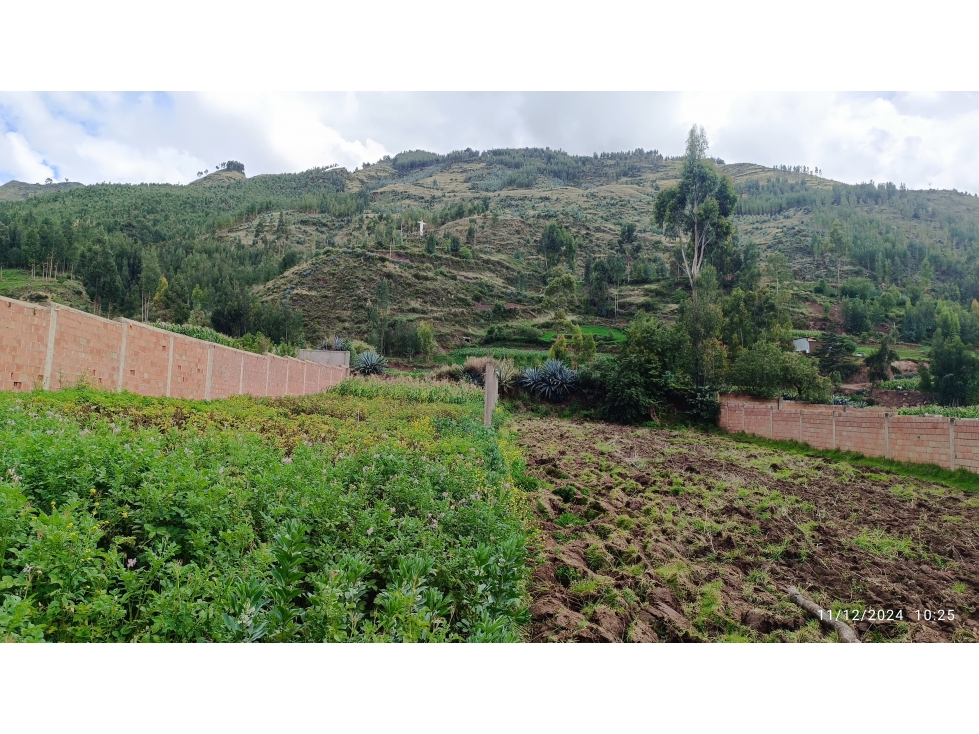 VENDO TERRENO 650 M2 HUASAO CUSCO PERÚ - 6