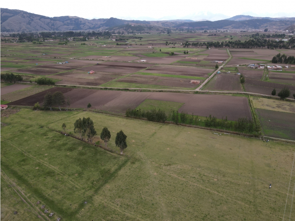 VENDO TERRENO 10,000 M2 PAMPA DE ANTA CUSCO PERU - 6