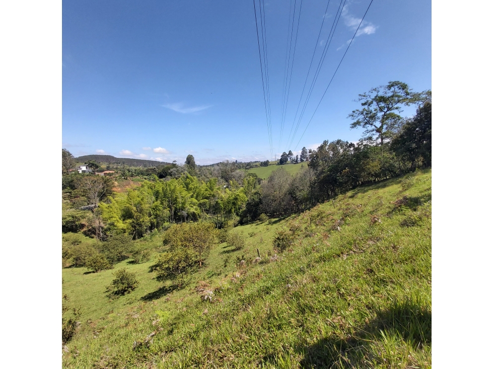 PARCELA EN VENTA EN EL SECTOR LOS ROBLES, VÍA PANAMERICANA, TIMBIO - 3