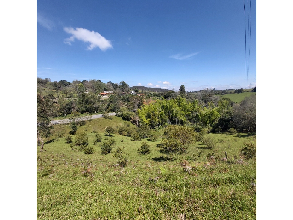 PARCELA EN VENTA EN EL SECTOR LOS ROBLES, VÍA PANAMERICANA, TIMBIO - 6