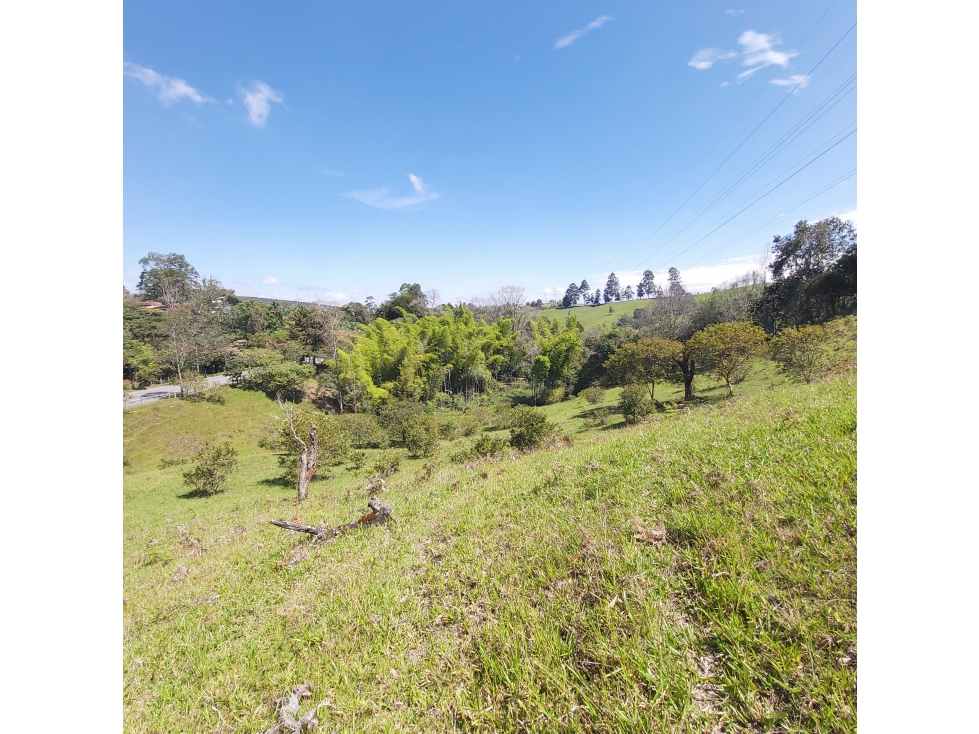 PARCELA EN VENTA EN EL SECTOR LOS ROBLES, VÍA PANAMERICANA, TIMBIO - 2