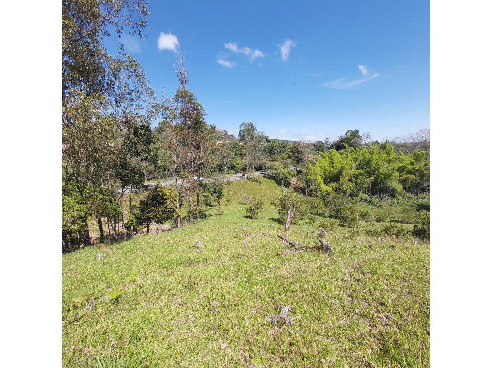 PARCELA EN VENTA EN EL SECTOR LOS ROBLES, VÍA PANAMERICANA, TIMBIO - 4