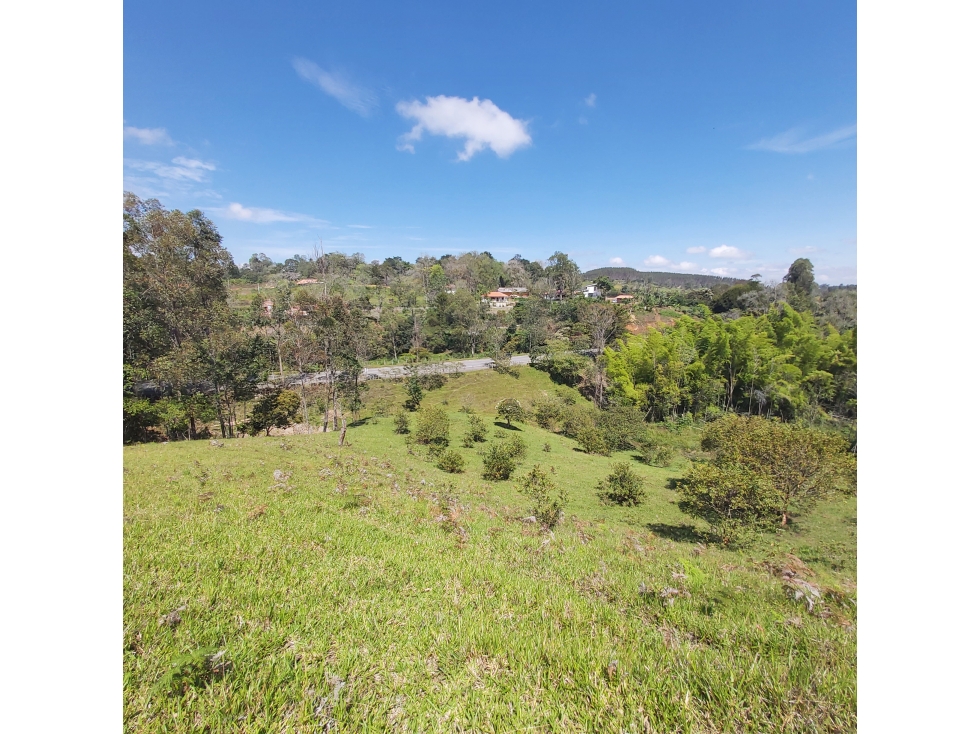PARCELA EN VENTA EN EL SECTOR LOS ROBLES, VÍA PANAMERICANA, TIMBIO - 1