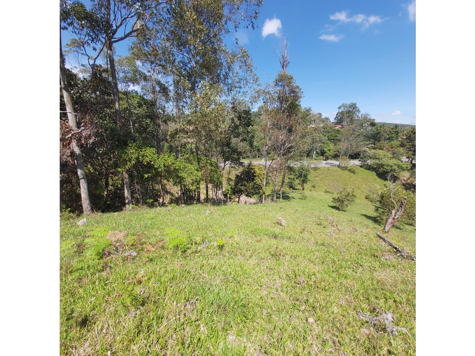 PARCELA EN VENTA EN EL SECTOR LOS ROBLES, VÍA PANAMERICANA, TIMBIO - 5