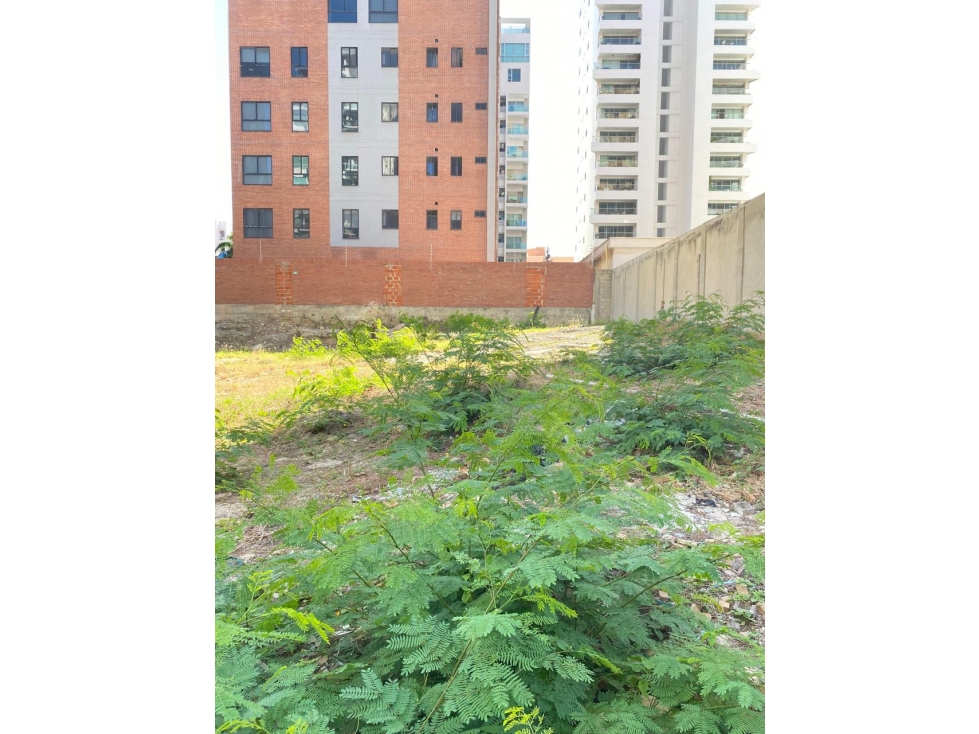 Lote/Terreno en Alquiler en Barranquilla, Atlántico — foto 2