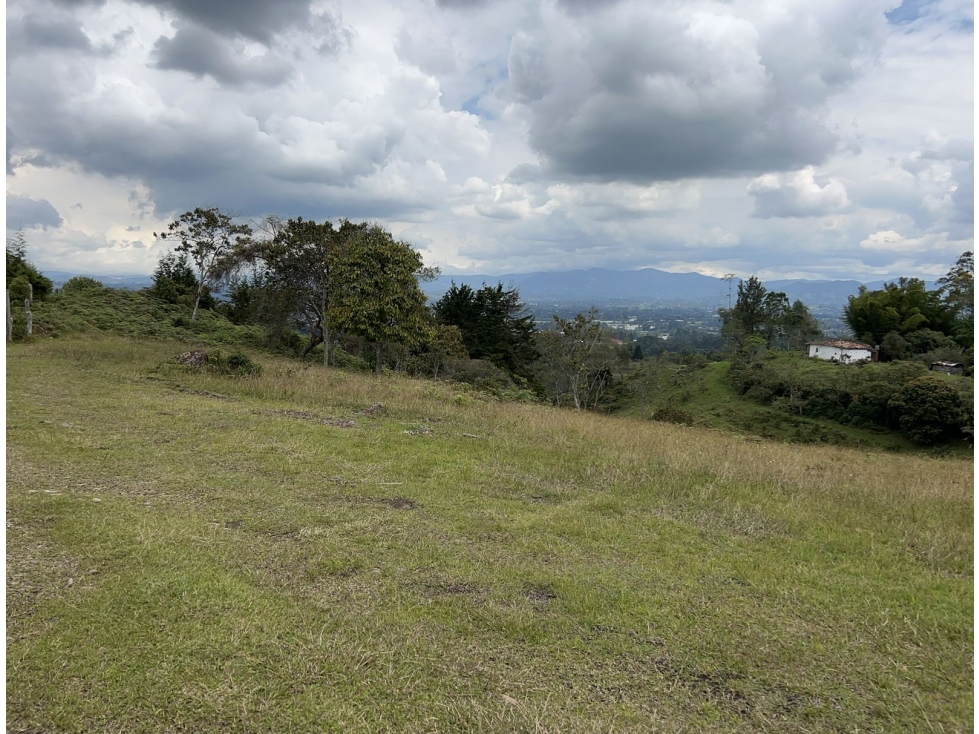 Lote para parcelar en llanogrande con vista al aeropuerto — foto 3