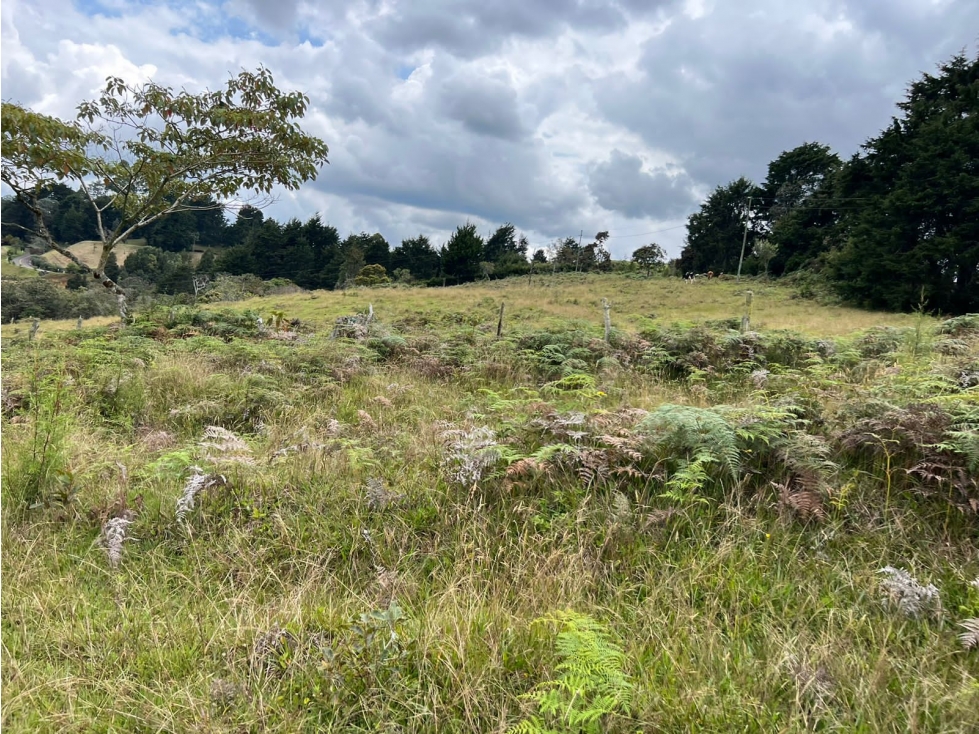 Lote para parcelar en llanogrande con vista al aeropuerto — foto 6