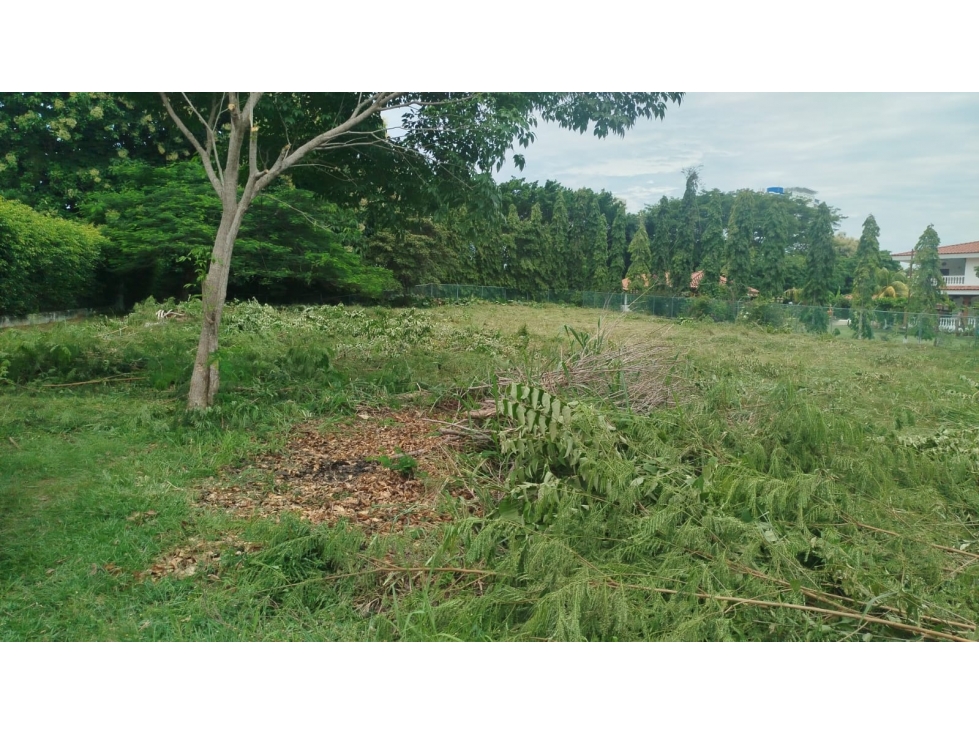 Se vende terreno en Nueva Gorgona