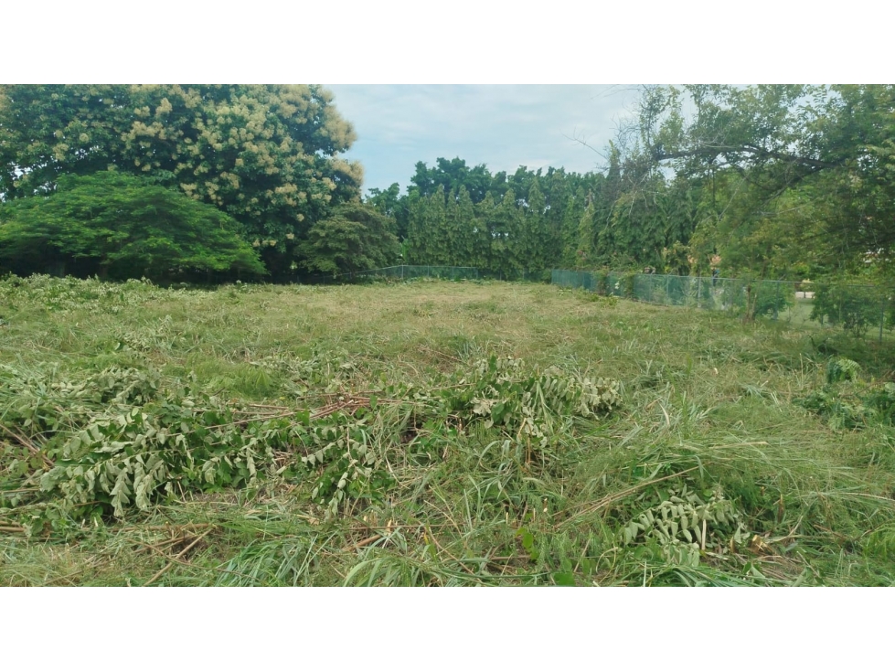Se vende terreno en Nueva Gorgona — foto 2