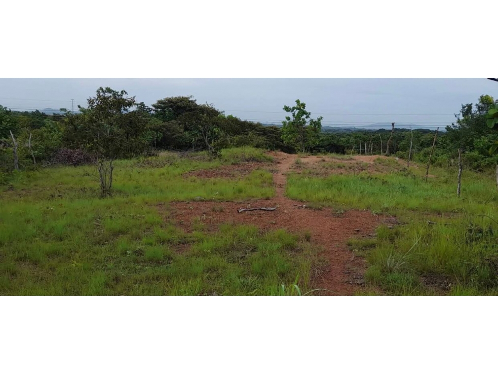 Se vende terreno en Coclé - 3
