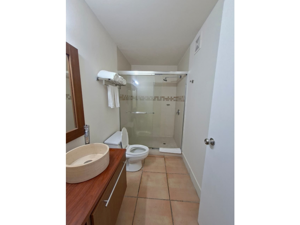 Suite en alquiler - 3