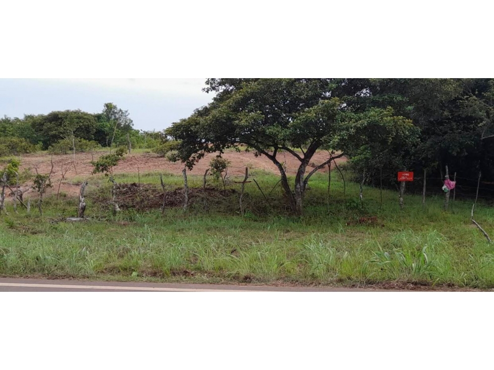 Se vende terreno en Coclé - 4