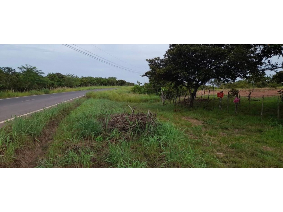 Se vende terreno en Coclé - 5