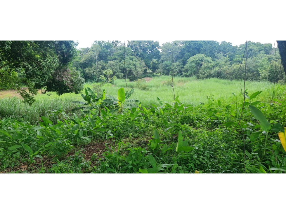SE VENDE TERRENO EN PACORA - 1