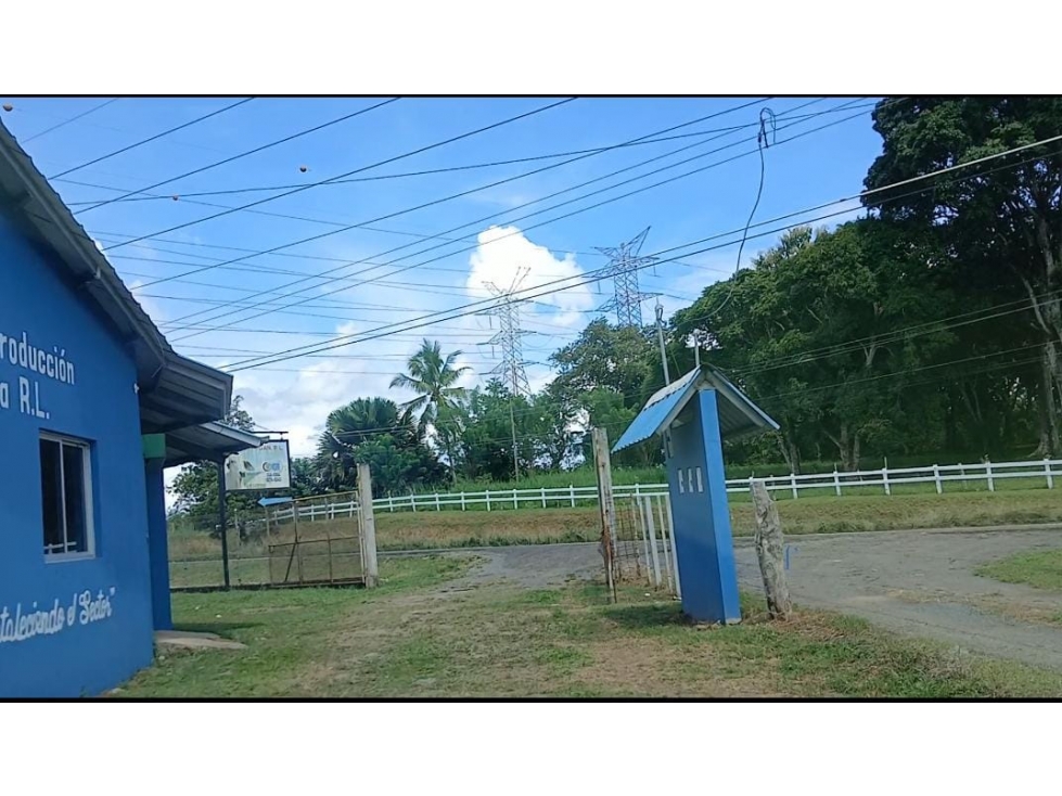 SE VENDE FINCA DE 77 HECTAREAS - PANAMA OESTE YD - 2