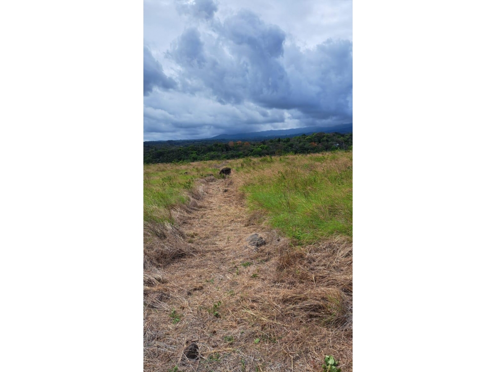 LOTE EN VENTA ALTO BOQUETE // CHIRIQUI - 3