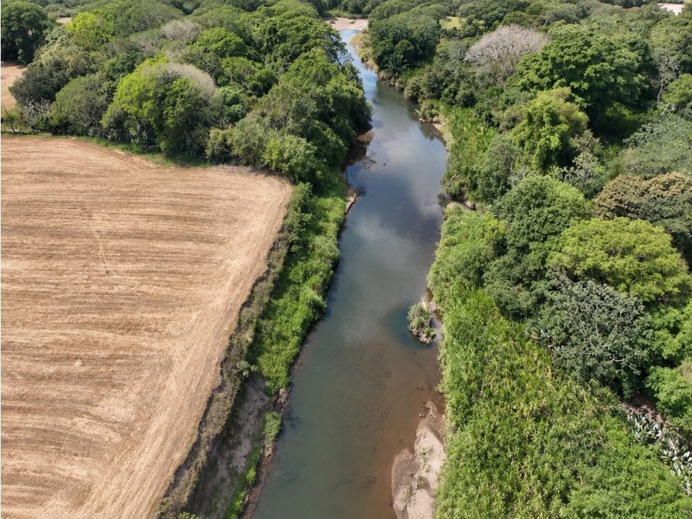 VENTA DE 2 FINCAS DE 23 HECTÁREAS EN CHIRIQUÍ | SECTOR SANTO TOMAS - 2