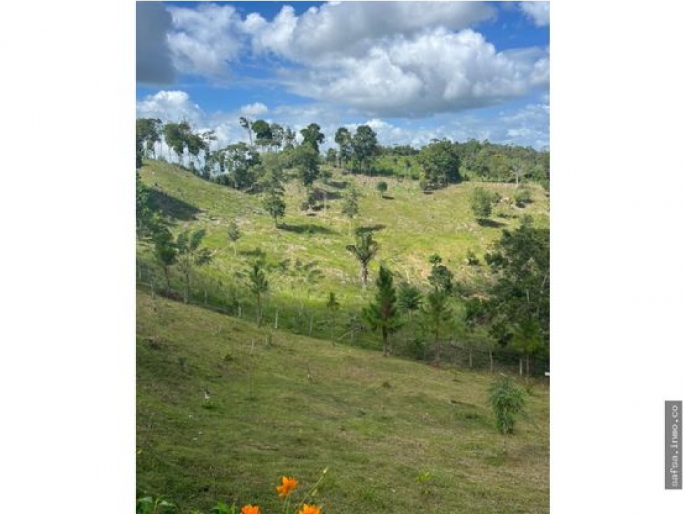 Venta de Terreno en Capira — foto 2